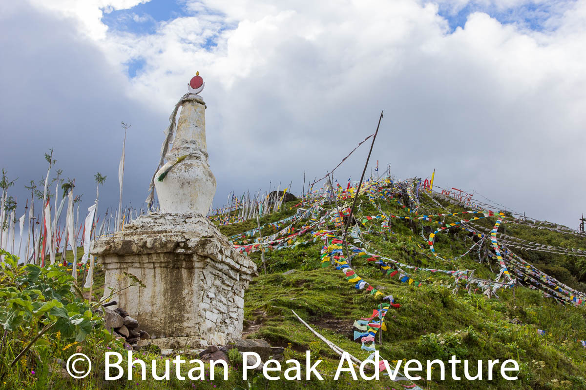The stupa where you can either go to sky burial or find yourself lost in the woods.