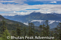 The mountain range.  On the left is Mount Jomolhari peaking out covered in snow.