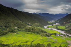 Punakha Valley taken from Khamsum Yuelley