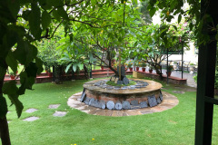 Garden of Kathmandu Guest House