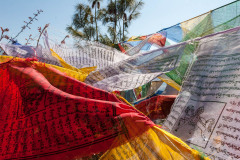 Prayer flags at BBS tower