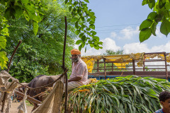 One of the farm owners