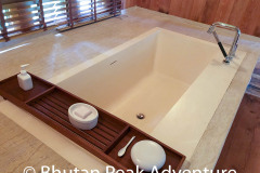 Bathtub in the Villa