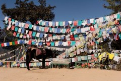 Horse and Prayer flags