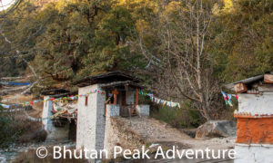 Foot bridge to Cheri Monastery